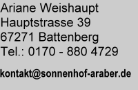 Ariane Weishaupt